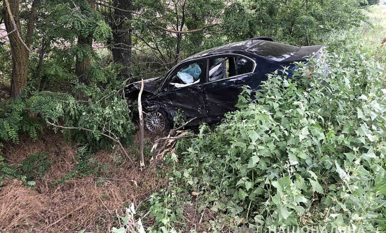 В Витовском районе столкнулись BMW и грузовик: 4 пострадавших, в том числе 5-летний ребенок | Корабелов.ИНФО image 1