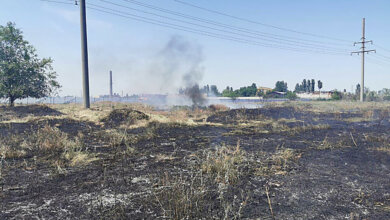 Поджог: в Корабельном районе спасатели тушили масштабный пожар | Корабелов.ИНФО