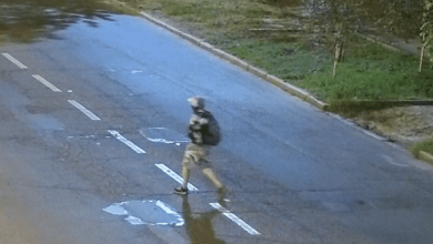 Тату на лівій нозі: Миколаївський універ розшукує злочинця, який вкрав у них дерева | Корабелов.ИНФО