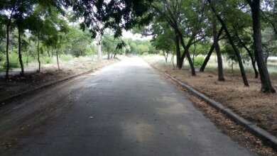 Біля заводу "Океан" видалили поросль та нарешті прибрали сміття | Корабелов.ИНФО