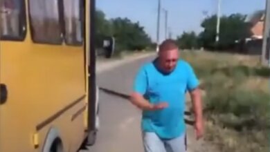 В Корабельном районе водитель маршрутки напал на девушку из-за замечания о маске (видео) | Корабелов.ИНФО