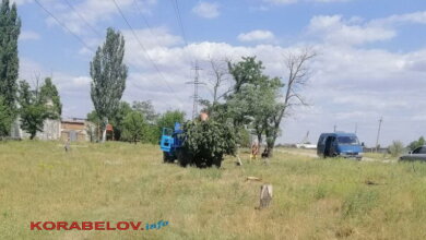 Райадминистрация уничтожает сквер в Корабельном без документов на спил деревьев (Видео) | Корабелов.ИНФО image 9