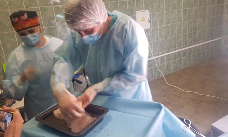 "Нехай упокоїться з миром душа донора": в Украине впервые сделали трансплантацию поджелудочной железы | Корабелов.ИНФО image 2