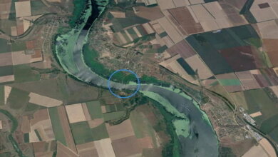 "Давайте думать, что мы оставим своим детям!": еще одно предложение по спасению Николаева от "фур" | Корабелов.ИНФО image 1