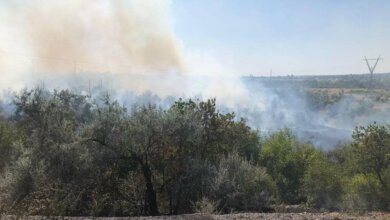 В Корабельном районе более трех часов тушили пожар, возникший из-за поезда | Корабелов.ИНФО image 2
