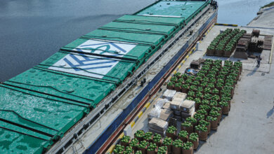 «Нибулон» доставит в Киев 300 тонн херсонских арбузов | Корабелов.ИНФО