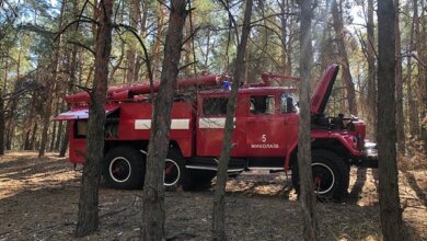 Николаевские спасатели снова тушат пожары в Балабановском лесу | Корабелов.ИНФО image 3