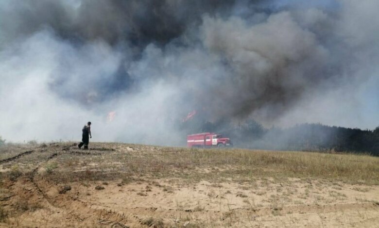 Пожар возле Галицыновских дач | Корабелов.ИНФО