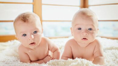 В Николаевской области за неделю родились три двойни | Корабелов.ИНФО