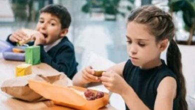 В школах Николаева рассмотрят вариант замены горячего питания на еду в одноразовых боксах | Корабелов.ИНФО