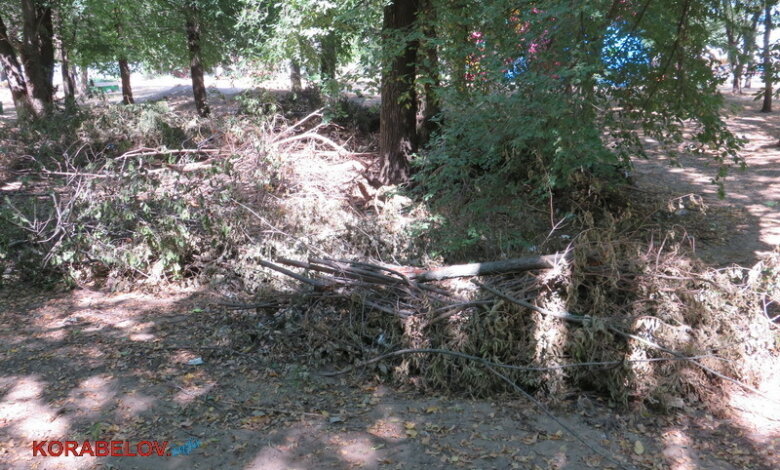 "Способствуют наркомании и преступности", - жители Корабельного о беспорядке в "сквере Антощенко" | Корабелов.ИНФО image 4