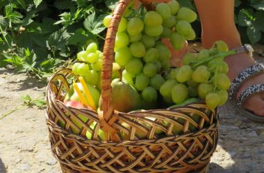 "Бог живе в кожній людині": в Корабельному святкували Яблучний Спас (відео) | Корабелов.ИНФО image 15