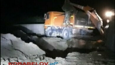 Бунт, угрозы, блокировка дороги... Эпопея с массовым мором скота в Галицыново | Корабелов.ИНФО image 3