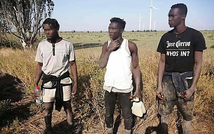 Пойманные в порту НГЗ нелегалы бежали с корабля: приключения африканцев в Николаеве | Корабелов.ИНФО