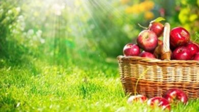 Вночі вже буде прохолодно: миколаївців найближчими днями очікує малохмарна погода без опадів | Корабелов.ИНФО