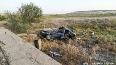 На Николаевщине Opel слетел в кювет - погиб пассажир авто | Корабелов.ИНФО