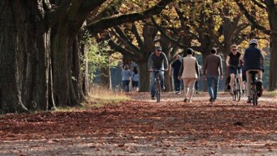 Выходные в октябре-2020: сколько будут отдыхать украинцы | Корабелов.ИНФО