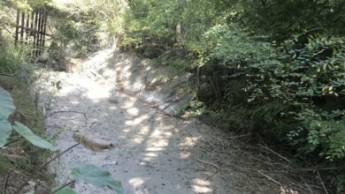 Крым без воды: на полуострове пересохла еще одна река | Корабелов.ИНФО