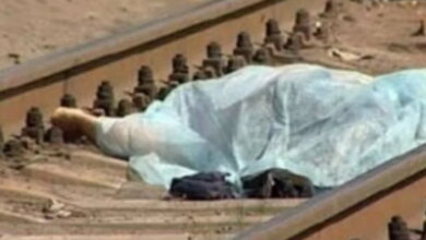 В Корабельном районе поезд сбил женщину насмерть | Корабелов.ИНФО