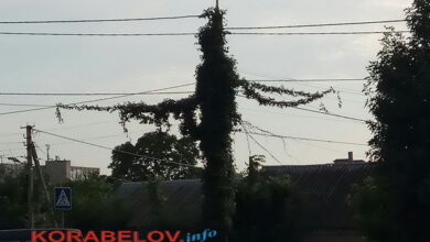 Антициклон Юрій: вихідними на Миколаївщині збережеться суха погода | Корабелов.ИНФО