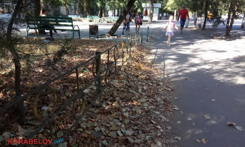 Коронавирус в Корабельном: 19 новых случаев за 3 дня | Корабелов.ИНФО