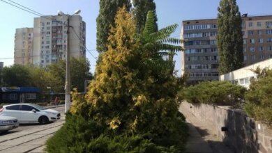 За сутки в Николаеве: +96 больных коронавирусом, 2 смерти | Корабелов.ИНФО