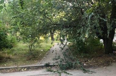 "Давно не видела руки коммунальных служб",- жители жалуются на неубранную территорию возле сквера "Комсомольский" | Корабелов.ИНФО image 2