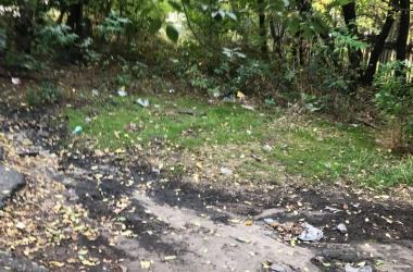 "Давно не видела руки коммунальных служб",- жители жалуются на неубранную территорию возле сквера "Комсомольский" | Корабелов.ИНФО image 3