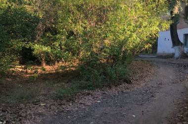 "Давно не видела руки коммунальных служб",- жители жалуются на неубранную территорию возле сквера "Комсомольский" | Корабелов.ИНФО image 4