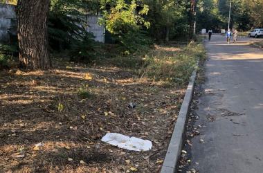 "Давно не видела руки коммунальных служб",- жители жалуются на неубранную территорию возле сквера "Комсомольский" | Корабелов.ИНФО image 7