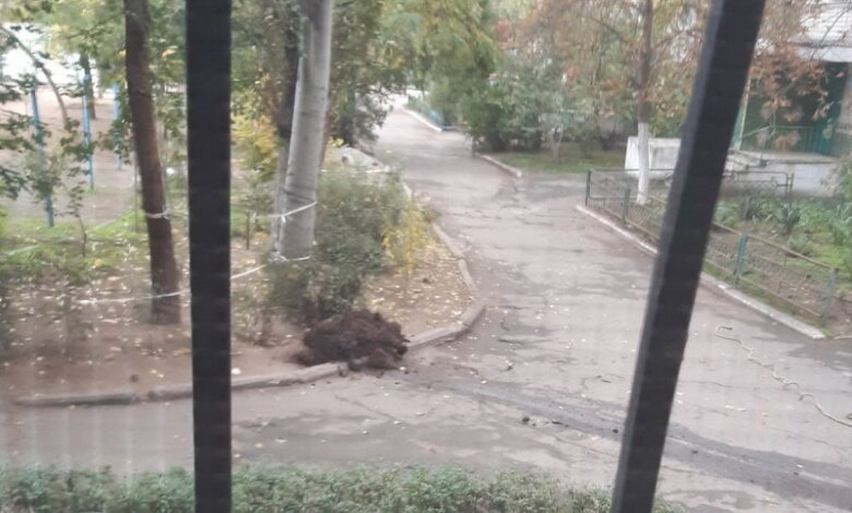 "Ни в одной канализации коронавирус не передавался": возле дома в Корабельном выложили кучи фекалий | Корабелов.ИНФО image 2