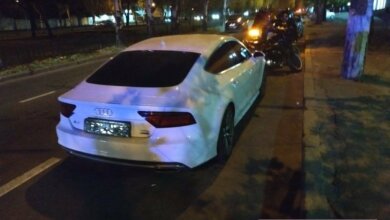 В Николаеве автомобиль «Ауди» сбил на переходе пешехода с собакой (видео) | Корабелов.ИНФО