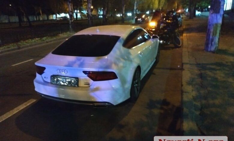 В Николаеве автомобиль «Ауди» сбил на переходе пешехода с собакой (видео) | Корабелов.ИНФО