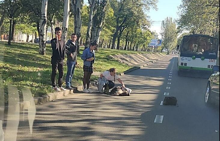 На проспекте в Николаеве автомобиль сбил женщину | Корабелов.ИНФО