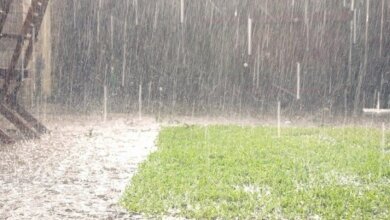 Дощі різної інтенсивності: погода на Миколаївщині у найближчі три доби | Корабелов.ИНФО