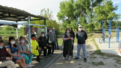 Чайка в парке "Богоявленский": встреча с жителями