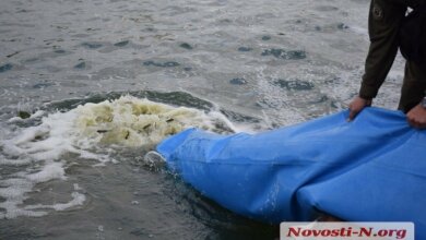 В реку Южный Буг в Николаеве выпустили 255 тысяч мальков толстолобика, карпа и белого амура (видео) | Корабелов.ИНФО