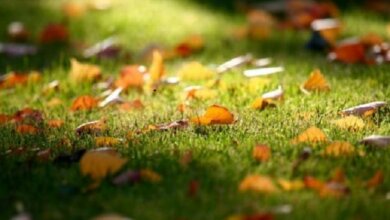 Начебто у вересні: прогноз погоди для миколаєвців на завтра | Корабелов.ИНФО