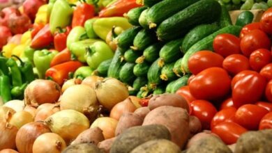 Кабмин утвердил национальные стратегии развития картофелеводства и овощеводства, а также орошения и дренажа | Корабелов.ИНФО