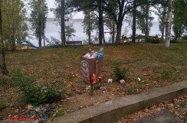 Лебеди и мусор (видео): контрасты жизни в Корабельном районе | Корабелов.ИНФО image 1