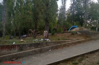 Лебеди и мусор (видео): контрасты жизни в Корабельном районе | Корабелов.ИНФО image 2