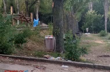 Лебеди и мусор (видео): контрасты жизни в Корабельном районе | Корабелов.ИНФО image 6