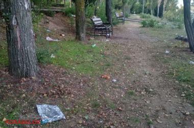 Лебеди и мусор (видео): контрасты жизни в Корабельном районе | Корабелов.ИНФО image 8