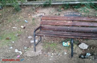 Лебеди и мусор (видео): контрасты жизни в Корабельном районе | Корабелов.ИНФО image 9