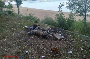 Лебеди и мусор (видео): контрасты жизни в Корабельном районе | Корабелов.ИНФО image 10