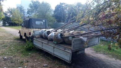 В Корабельному районі висадили 33 дерева | Корабелов.ИНФО image 5