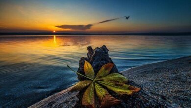 Зранку 17 та 18 листопада мешканці Миколаївщини мають шанс побачити перші сніжинки, - прогноз погоди | Корабелов.ИНФО