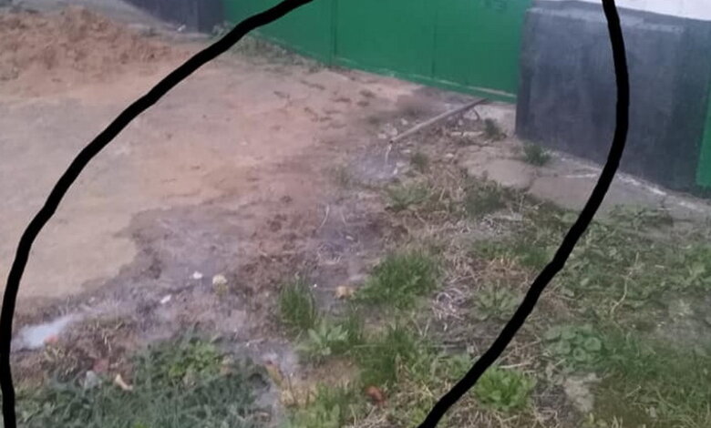 "Дикий народ": жители Корабельного района сливают канализацию прямо на улицу | Корабелов.ИНФО