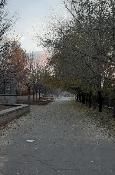 Жители Корабельного жалуются на бардак в районе и бездействие местных властей | Корабелов.ИНФО image 1