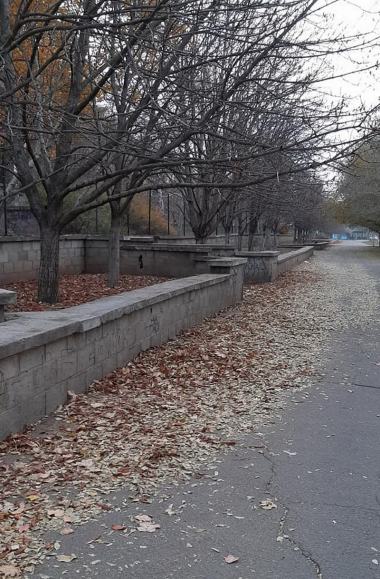 Жители Корабельного жалуются на бардак в районе и бездействие местных властей | Корабелов.ИНФО image 4